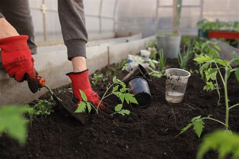 Soil Preparation For Vegetables Flowers And Herbs Gardening Tips
