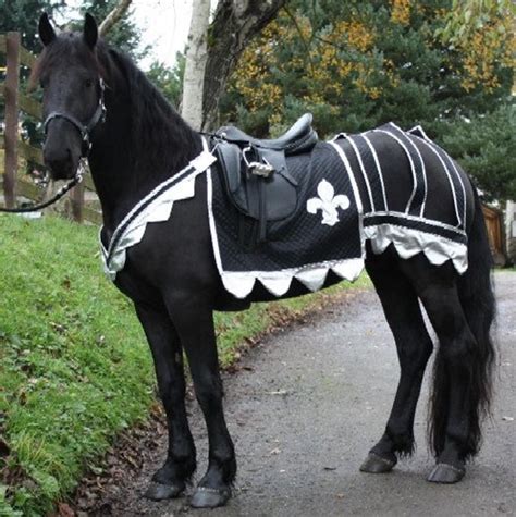 Pdf Medieval Horse Costume Pattern With Breeching And Wide Etsy