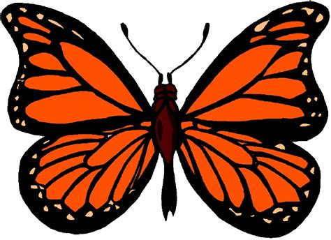 Monarch Butterfly Images 10 Monarch Butterfly Clip Art