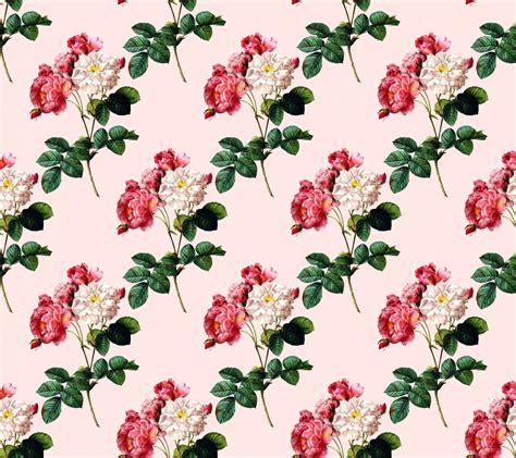 Roses Vintage Wallpaper Pattern Free Stock Photo Public Domain Pictures