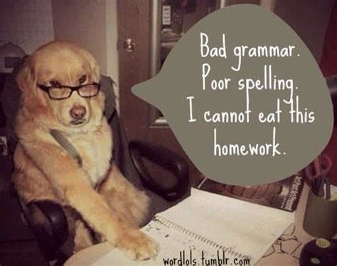 Dog Ate My Homework He Cant Even Swallow That Bad Grammar Lol Bad