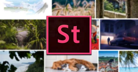 Se agregan miles de imágenes nuevas de alta calidad todos los días. Adobe Stock, una plataforma para descargar imágenes ...