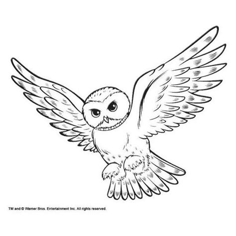 Paint and color the best owl coloring pages with the resources of coloring pages for kids. Coloring Snowy Owl Hedwig picture liked on Polyvore ...