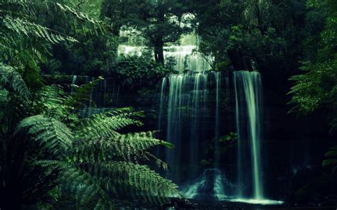 Forest Waterfall Pictures Hd Desktop Wallpapers 4k Hd