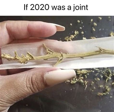 These Weed Memes Will Make You High Af All Stems And Seeds Memes