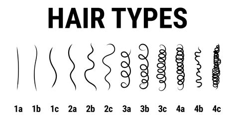 African American Hair Types 4a 4b And 4c Everything You Need To Know