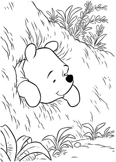 Desenho De Winnie The Pooh No Buraco Para Colorir Tudodesenhos