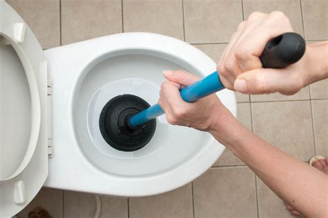 Simple Steps To Unclog A Toilet Quickly And Easily Ggr Home Inspections