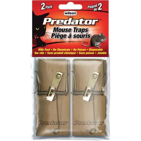 Wilson Predator Wood Mouse Traps 2 Pack Home Hardware