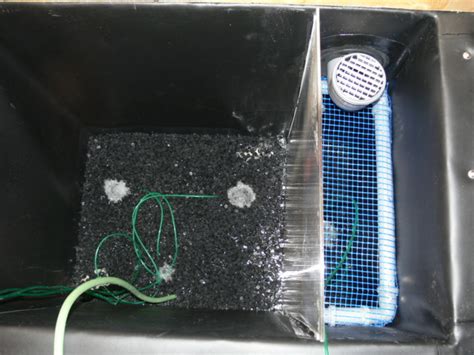 Allerdings ist die auswahl der japan matten hier, wie generell im stationären handel, nicht sonderlich groß. Koiteich Michael Murner auf www.Teichbilderbuch.de