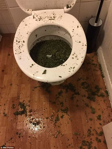 Flushed Out Hilarious Pictures Show Drug Dealers Unsuccessful Attempt