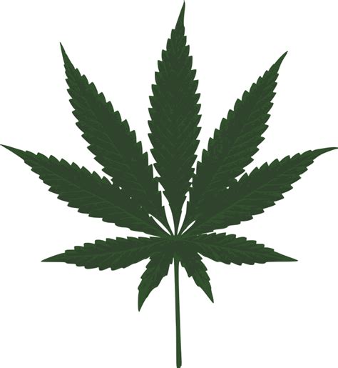 Cannabis Png Transparent Image Download Size 736x800px