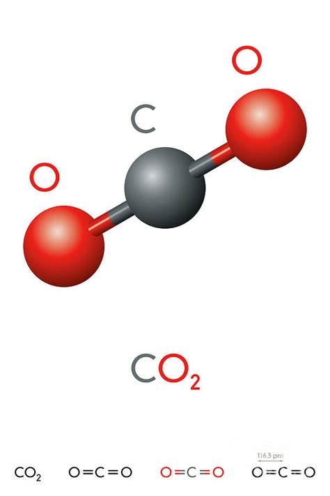 At standard temperature and pressure, the density of carbon dioxide is around 1.98 kg/m 3, about 1.53 times that of air. Carbon Dioxide, Co2, Molecule Model And Chemical Formula ...