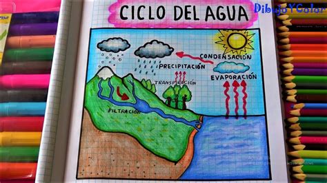 Como Dibujar El Ciclo Del Agua How To Draw Water Cycle DibujoYColor