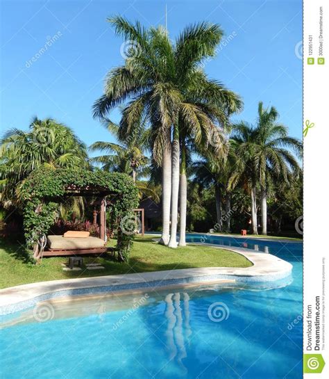 Pool Landscape At A Caribbean Tropical Resort Stock Image