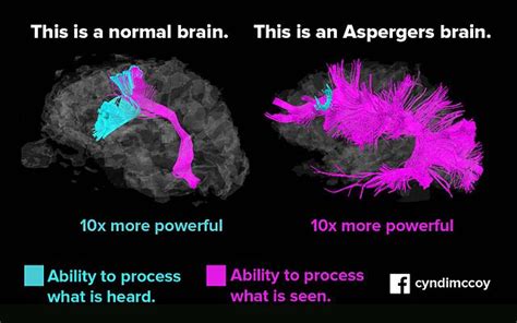 Difference Between Aspergers And High Functioning Autism Difference
