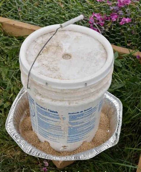 For constructing a complete diy chicken waterer and feeder, you must choose this plan. DIY Chicken Waterer and Feeder From 5-Gallon Buckets