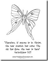 Books of the bible coloring pages. Pin on Spring - school