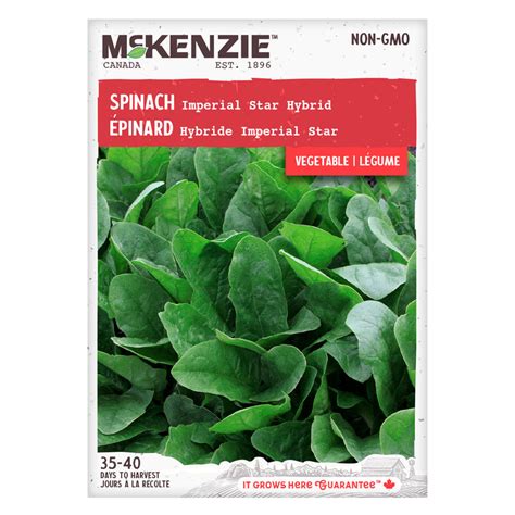 Spinach Seeds Imperial Star Hybrid Mckenzie Seeds