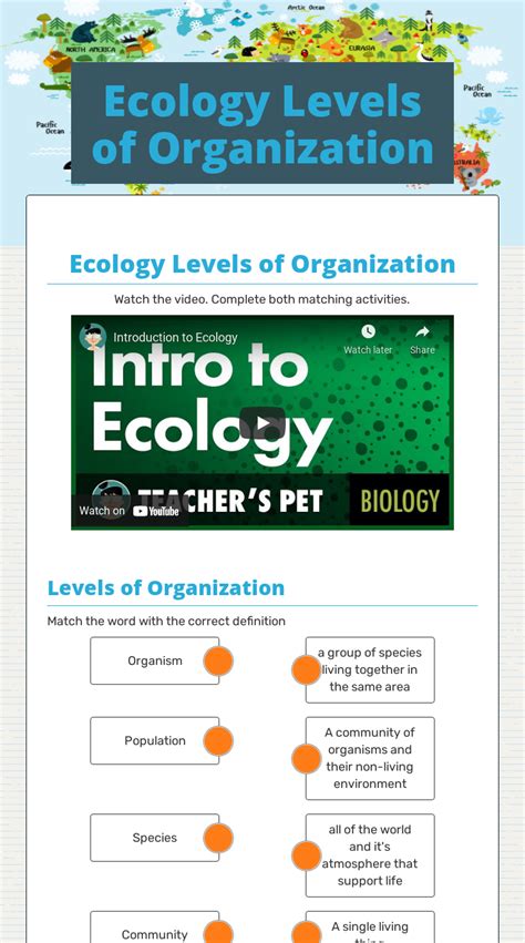Ecology Levels Of Organization Interactive Worksheet By Nerissa