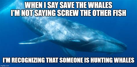 Save The Whales Imgflip