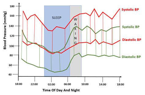 Blood Pressure Changes During The Day Chart Chart Walls