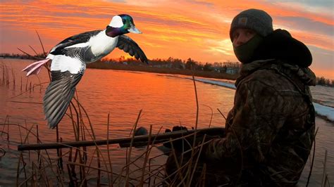 Hunting Big Water For Ducks Diver Duck Hunting Youtube