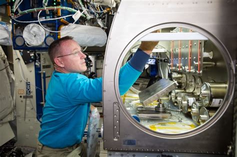 Bone Research A Lab Aloft International Space Station Research