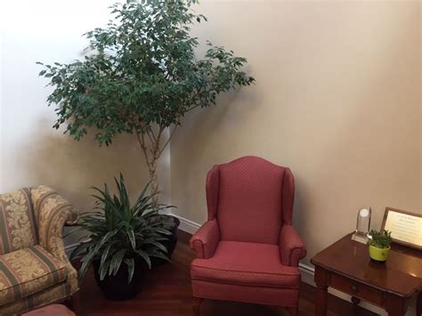 Piante giapponesi da interno per l'arte giapponese dei kokedama | wall street international. Tipologie di piante da interno - Piante appartamento ...