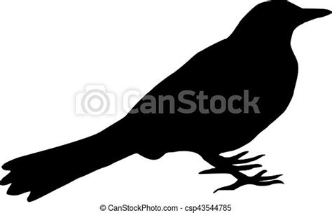 Blackbird Silhouette Canstock