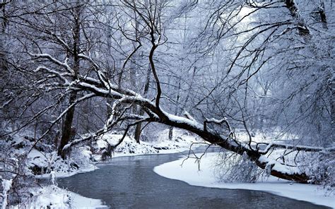 Snow River Wallpapers 4k Hd Snow River Backgrounds On Wallpaperbat