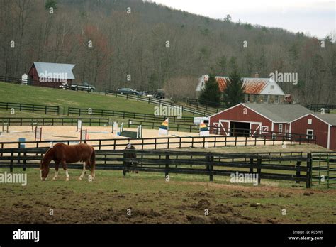 Virginia Horse Pasture Hi Res Stock Photography And Images Alamy