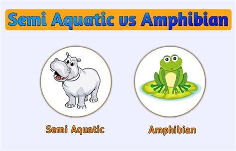 Aquatic Animals Complete Overview With Pictures Animals Space