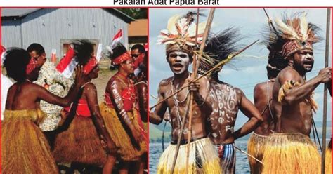 Pakaian Adat Papua Barat Lengkap Gambar Dan Penjelasannya Seni Budayaku
