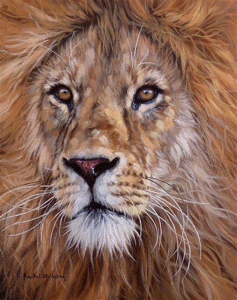 African Lion Painting Painting By Rachel Stribbling Pixels