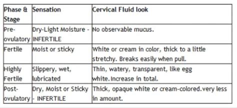 Tracking Cervical Mucusphotos Glow Community