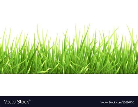 Super Realistic Grass Royalty Free Vector Image