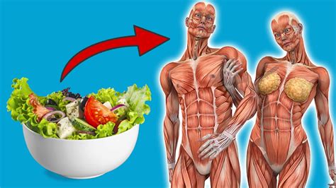 you won t believe what happens to you when you eat salad daily 💥 surprise 🤯 youtube