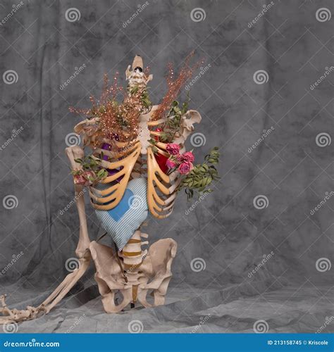 Esqueleto Humano Sobre Fundo Cinza Com Flores Dentro Imagem De Stock Imagem De Mente