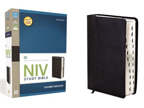 Study Bible Niv Large Print By Zondervan Hardcover Barnes And Noble®