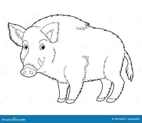 Cartoon Animal Wild Boar Coloring Page Stock Illustration