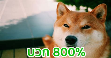 The users themselves call it joky. Dogecoin ขึ้นติดอันดับเหรียญ Top-10 หลังจากราคาพุ่ง 800% ...