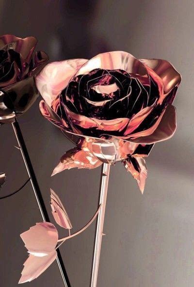Rose Gold Shared Folder Aesthetics Amino Rose Gold Aesthetic