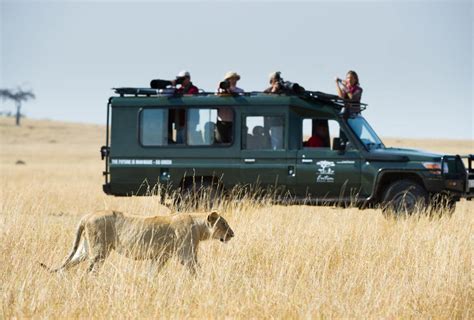 6 Days Masai Mara Safari Maasai Mara National Reserve Safaris