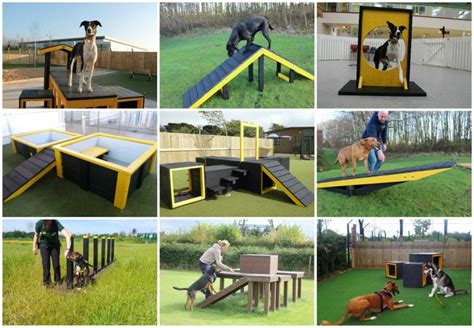Dragon Play And Sports In South Wales Dog Agility Equipment Big Trend