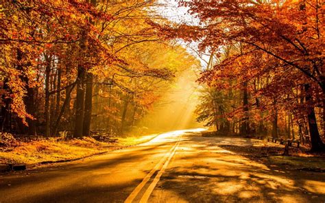 Collection Of Some Best Scene Of Autumn Season Hd Wallpapers All Hd Wallpapers