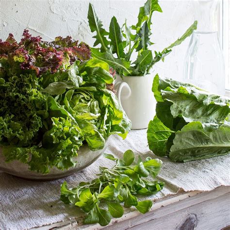 Salad Greens Mason Jar Salad Salad In A Jar Salad Bowls Romaine