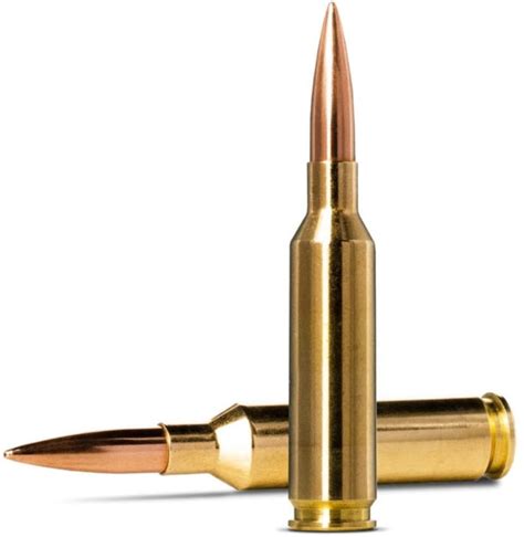Best 65 Creedmoor Ammo Ammofever Buy Ammo Online