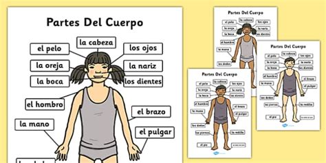 Body Labelled In Spanish Parts Of The Body A4 Spanish