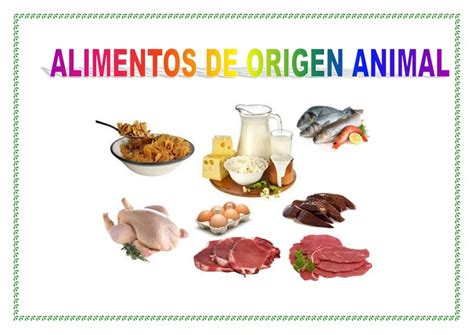 Alimentos De Origen Animal Legumbres Y Cereales